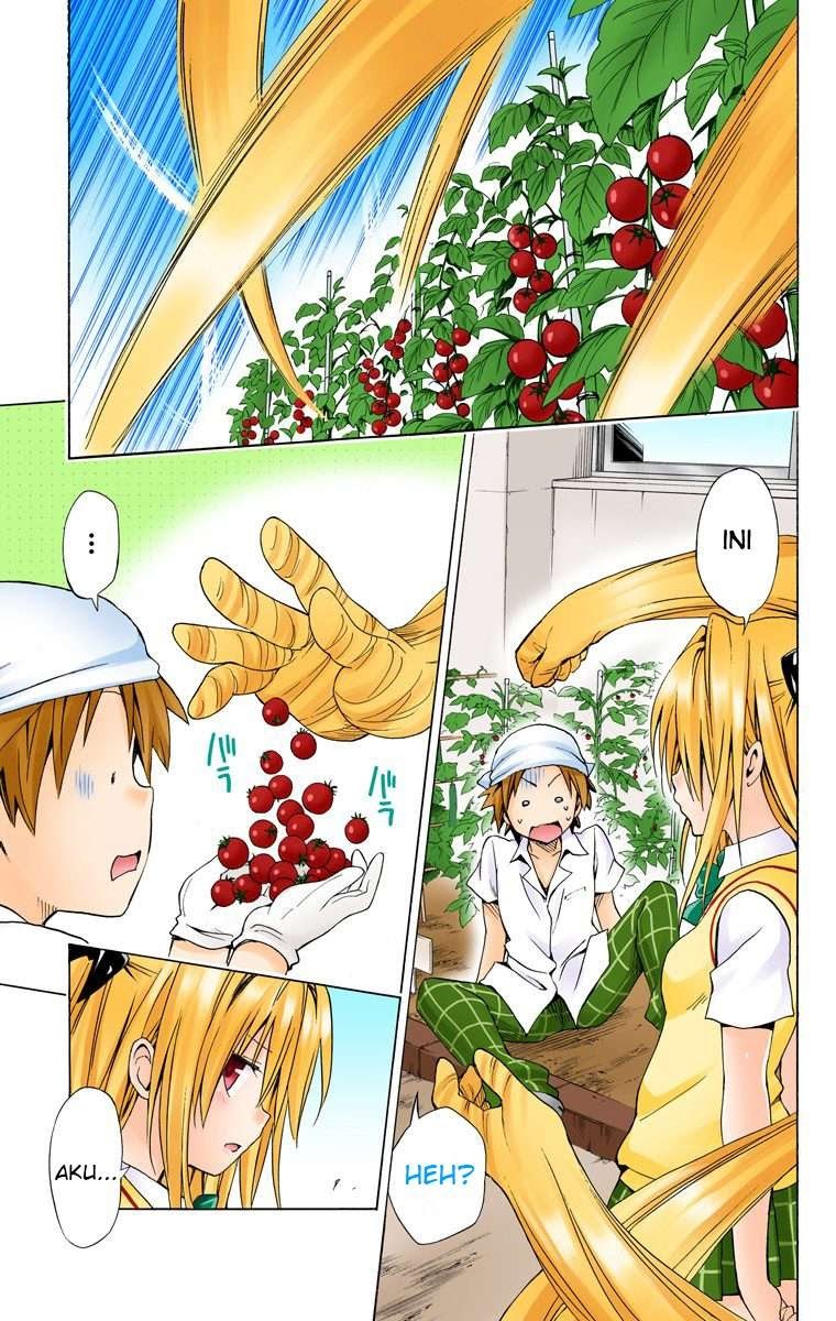 To LOVE-Ru Darkness Chapter 53